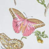 Schumacher Baudin Butterfly Chintz Blush Fabric