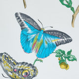 Schumacher Baudin Butterfly Chintz Turquoise Fabric