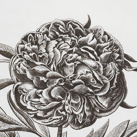 Schumacher Cabot Botanical Large Ivory Fabric