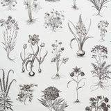 Schumacher Cabot Botanical Large Ivory Fabric