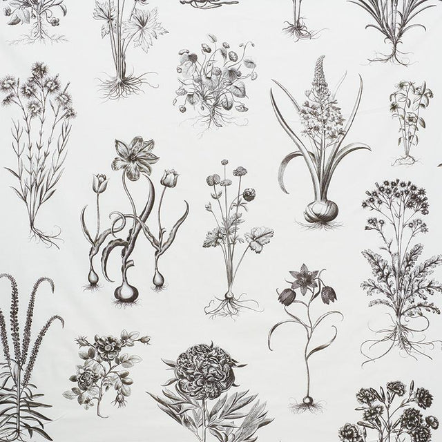 Schumacher Cabot Botanical Large Ivory Fabric