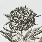 Schumacher Cabot Botanical Ivory Fabric