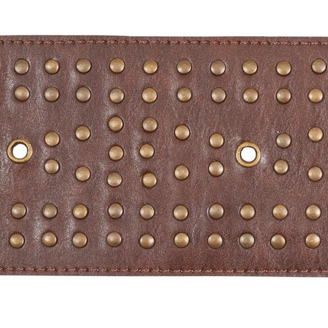 Schumacher Studded Leather Brown Trim