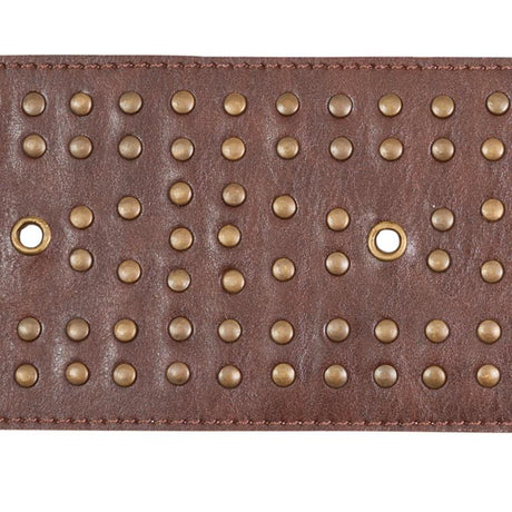 Schumacher Studded Leather Brown Trim