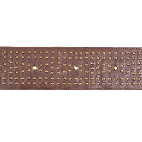 Schumacher Studded Leather Brown Trim