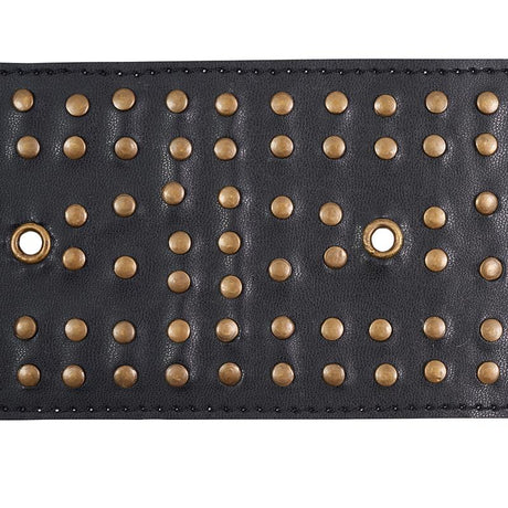 Schumacher Studded Leather Black Trim