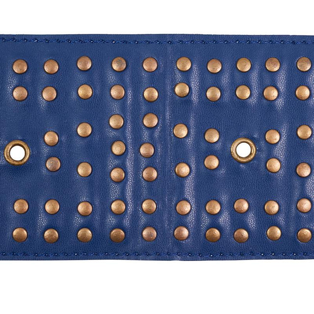 Schumacher Studded Leather Navy Trim