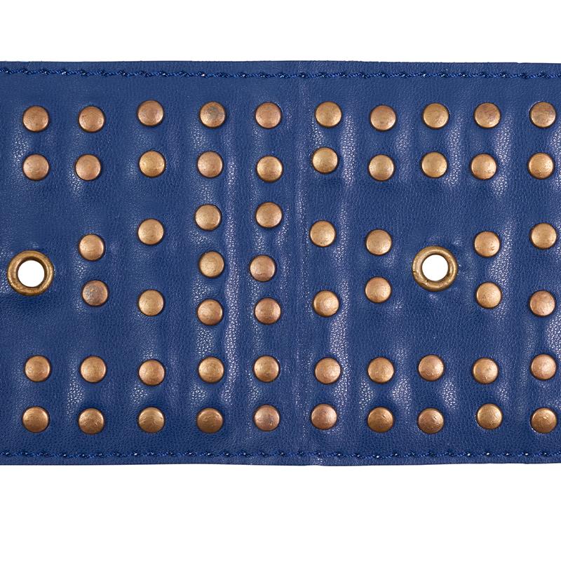 Schumacher Studded Leather Navy Trim