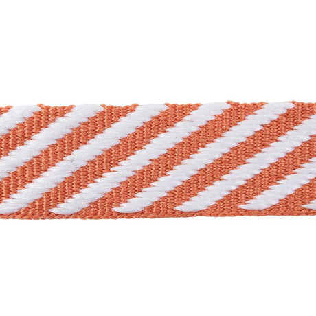 Schumacher Orange Twill Tape