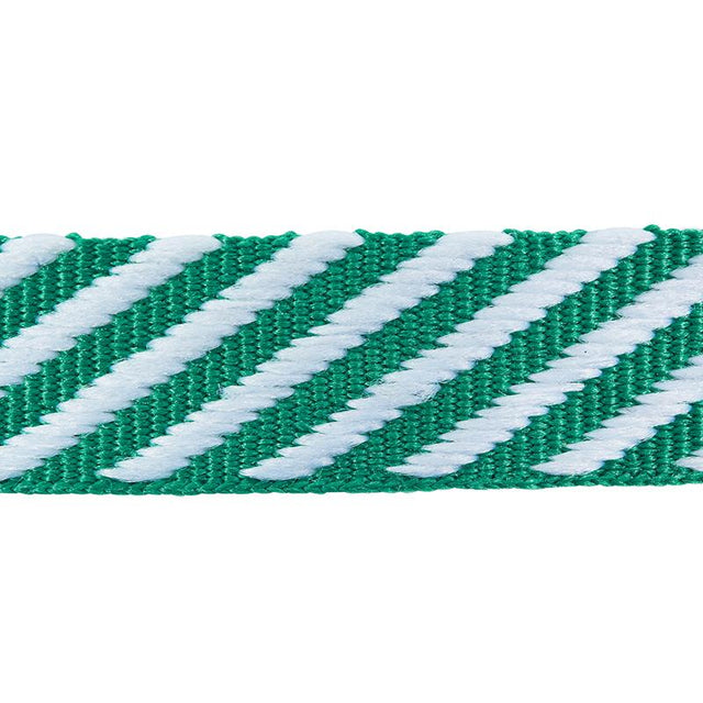 Schumacher Emerald Twill Tape