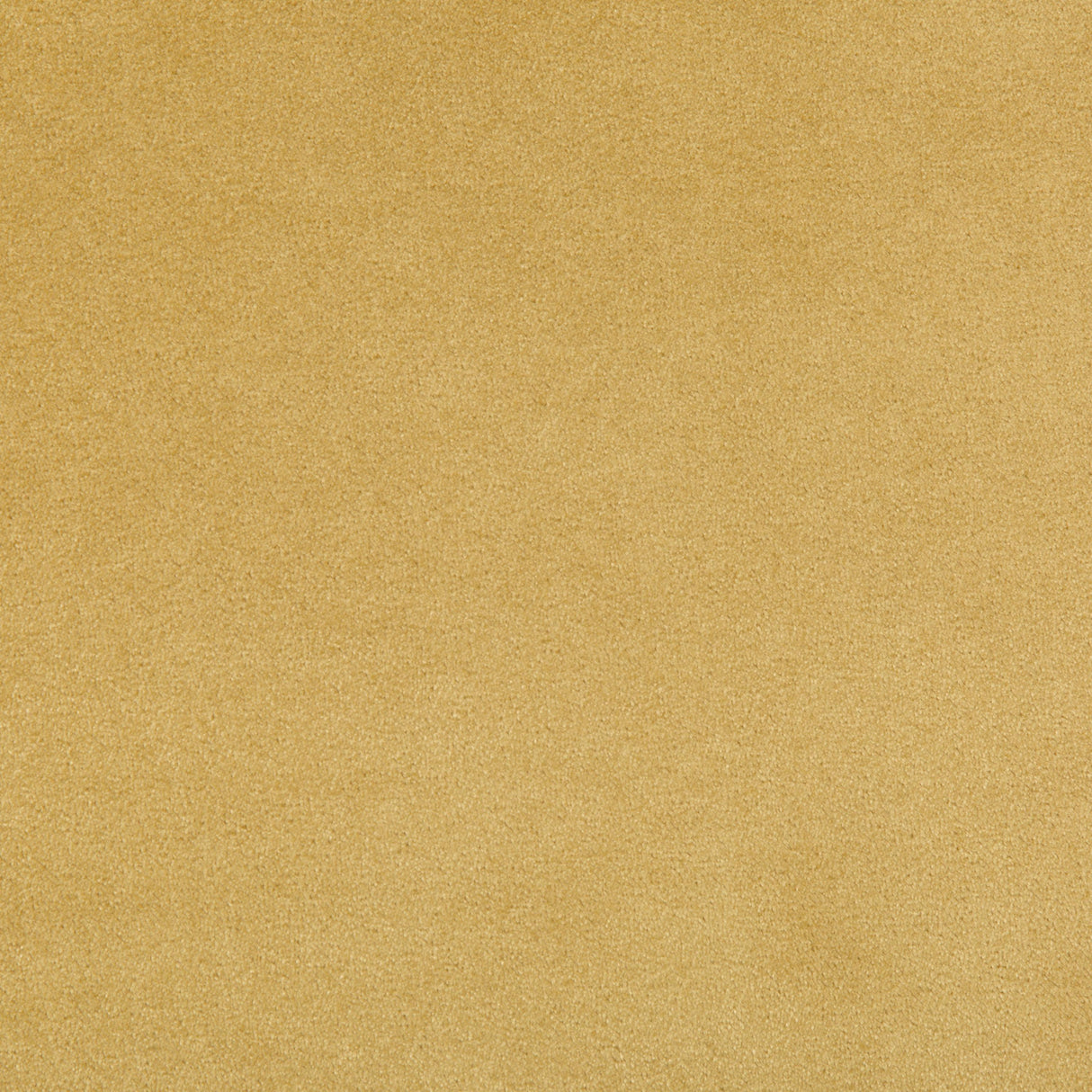 Kravet MADISON VELVET MARIGOLD Upholstery Fabric