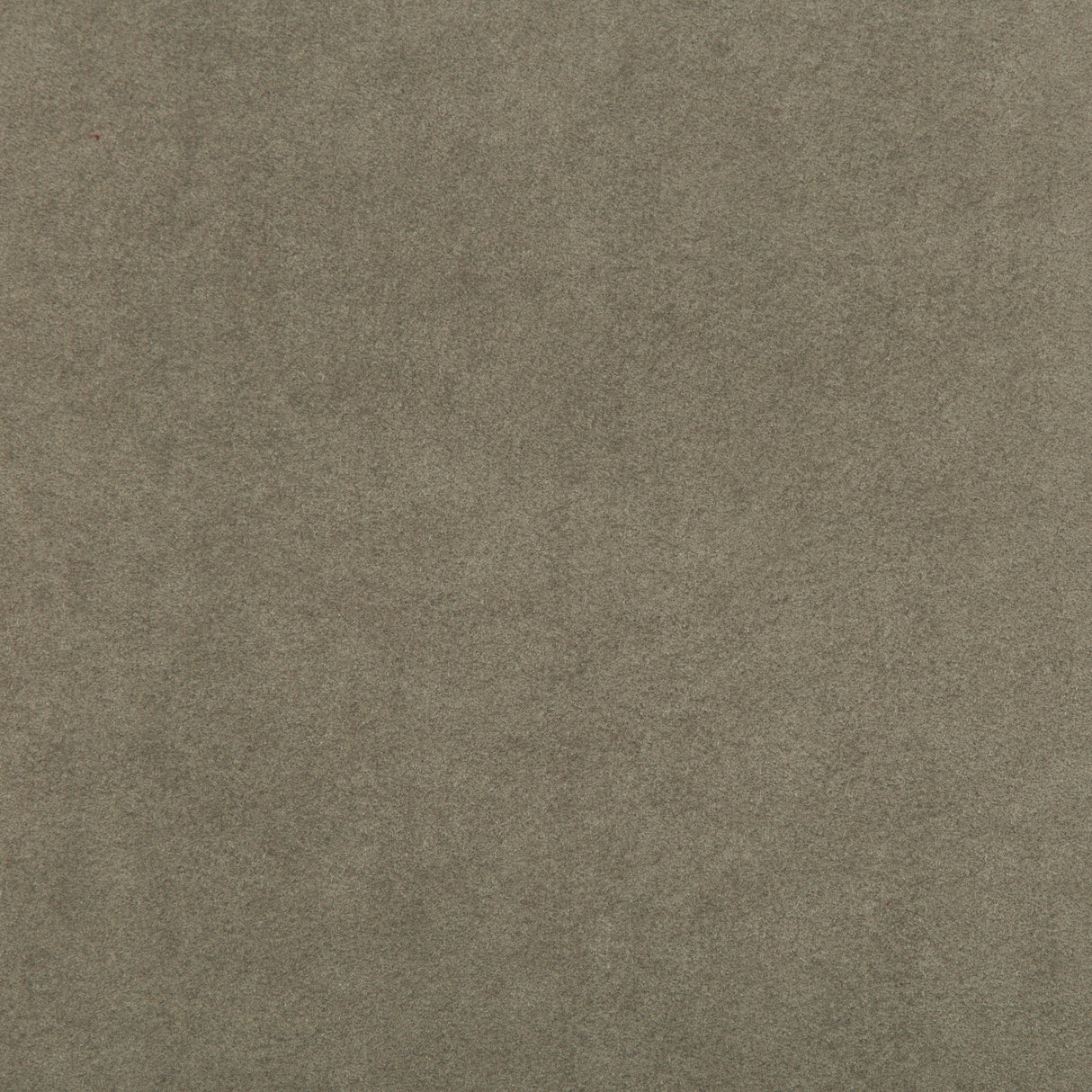 Kravet ULTRASUEDE GREEN OATMEAL Upholstery Fabric