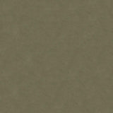 Kravet ULTRASUEDE GREEN FLANNEL Upholstery Fabric