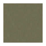 Kravet Ultrasuede Green Flannel Fabric