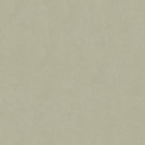 Kravet ULTRASUEDE GREEN ASH Upholstery Fabric