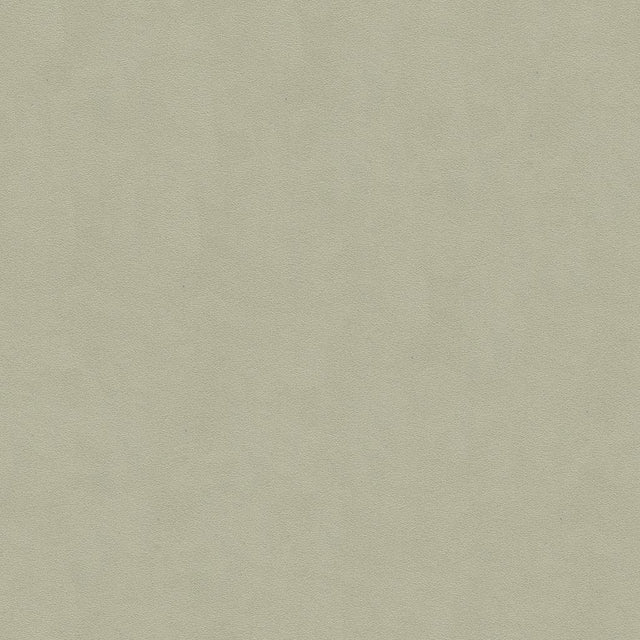 Kravet ULTRASUEDE GREEN ASH Upholstery Fabric