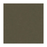 Kravet Ultrasuede Green Deer Fabric