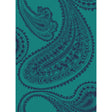 Cole & Son RAJAPUR FABRIC PRINT INK ON PETROL Fabric