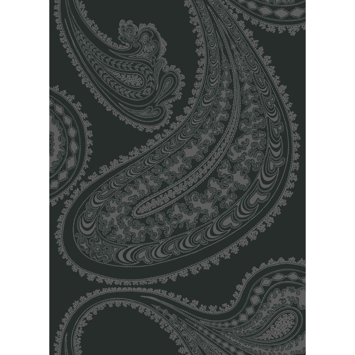 Cole & Son RAJAPUR FABRIC PRINT CHAR BLK Fabric