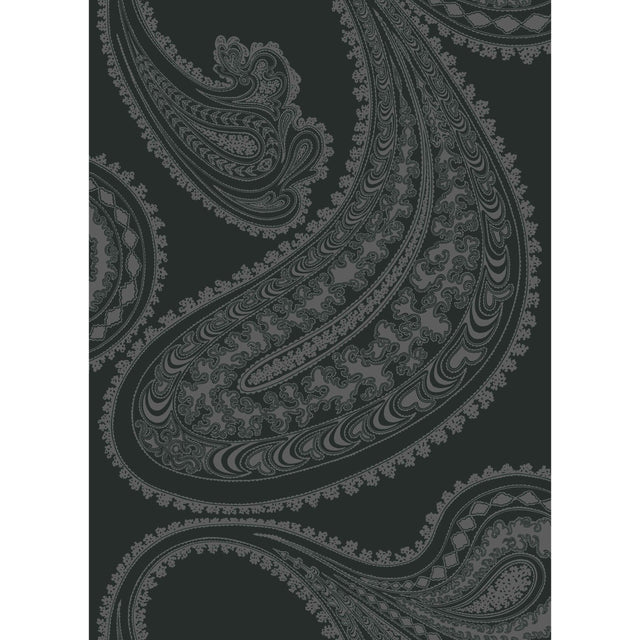 Cole & Son RAJAPUR FABRIC PRINT CHAR BLK Fabric