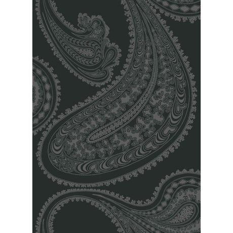 Cole & Son RAJAPUR FABRIC PRINT CHAR BLK Fabric
