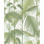 Cole & Son PALM JUNGLE COT/LIN PRINT OLV GRN ON WHT Fabric