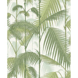 Cole & Son PALM JUNGLE COT/LIN PRINT OLV GRN ON WHT Fabric