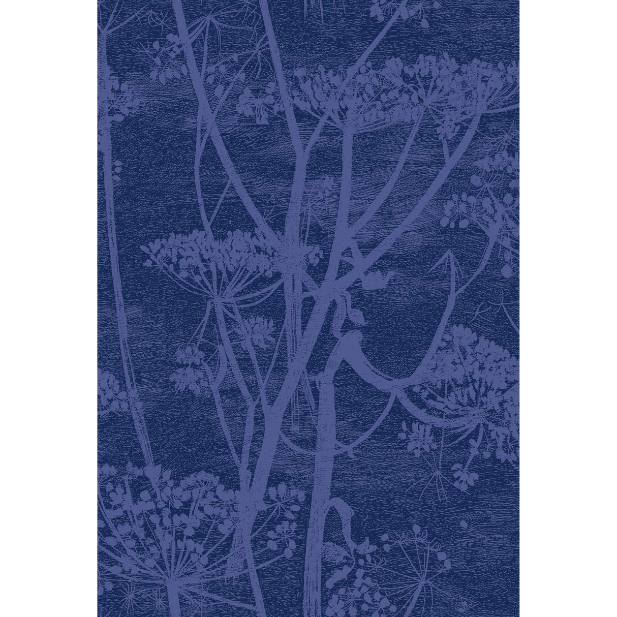 Cole & Son COW PARSLEY PRINT HYACINTH/INK Fabric