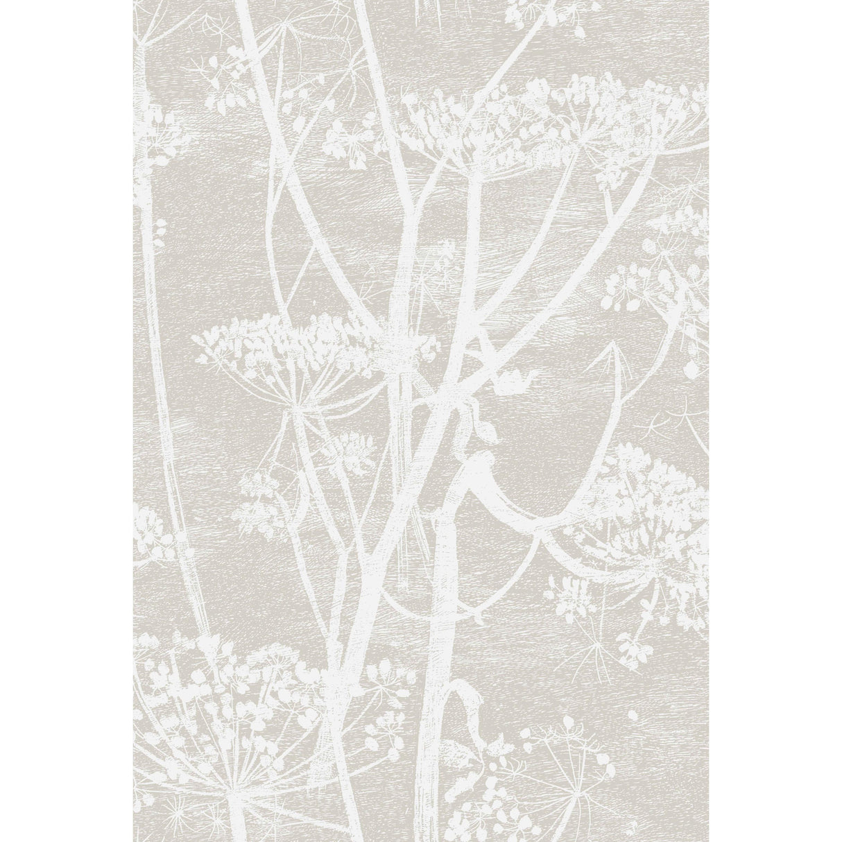 Cole & Son COW PARSLEY LINEN PRINT WHITE/TAUPE Fabric