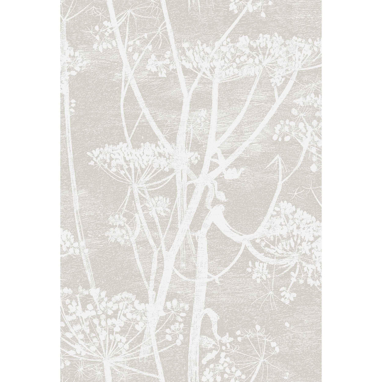 Cole & Son COW PARSLEY LINEN PRINT WHITE/TAUPE Fabric