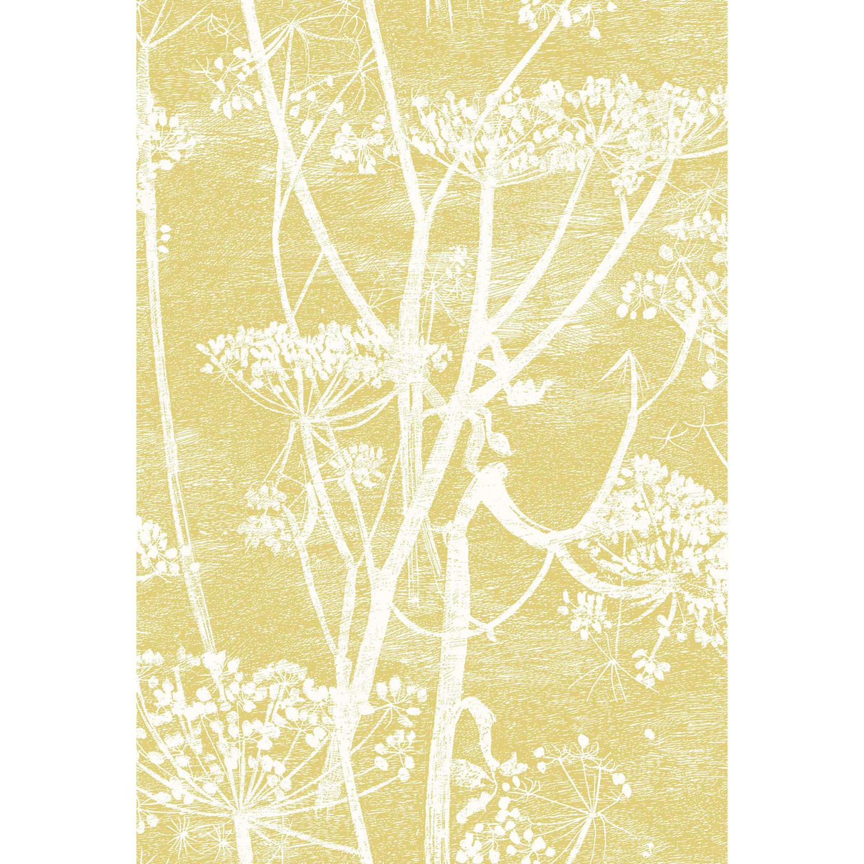Cole & Son COW PARSLEY LINEN PRINT WHITE/CHARTRE Fabric