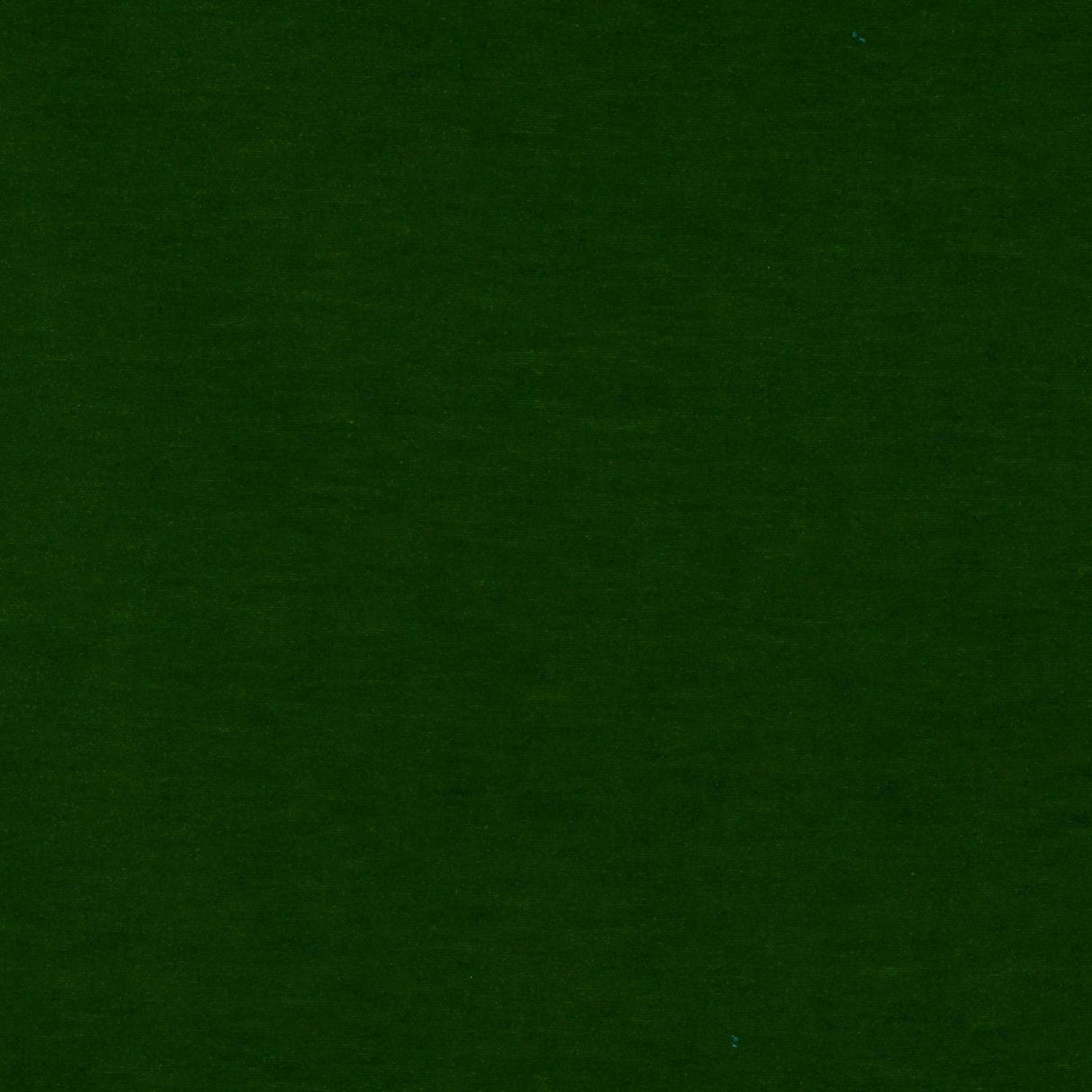 Gaston Y Daniela MERES VERDE Upholstery Fabric