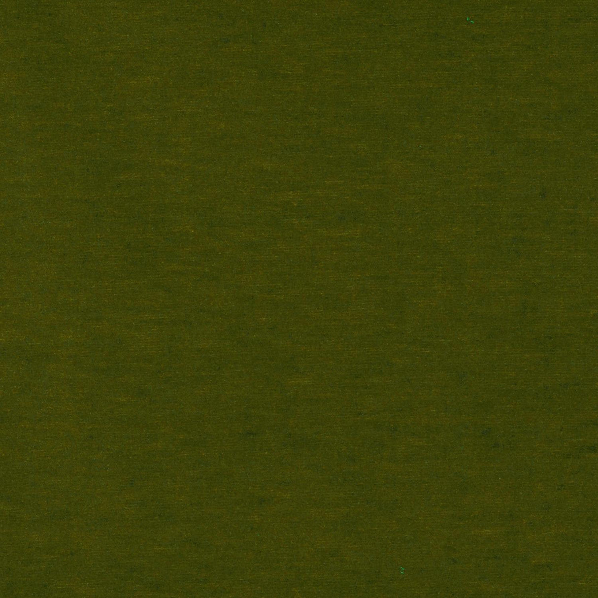Gaston Y Daniela MERES VERDE CLARO Upholstery Fabric