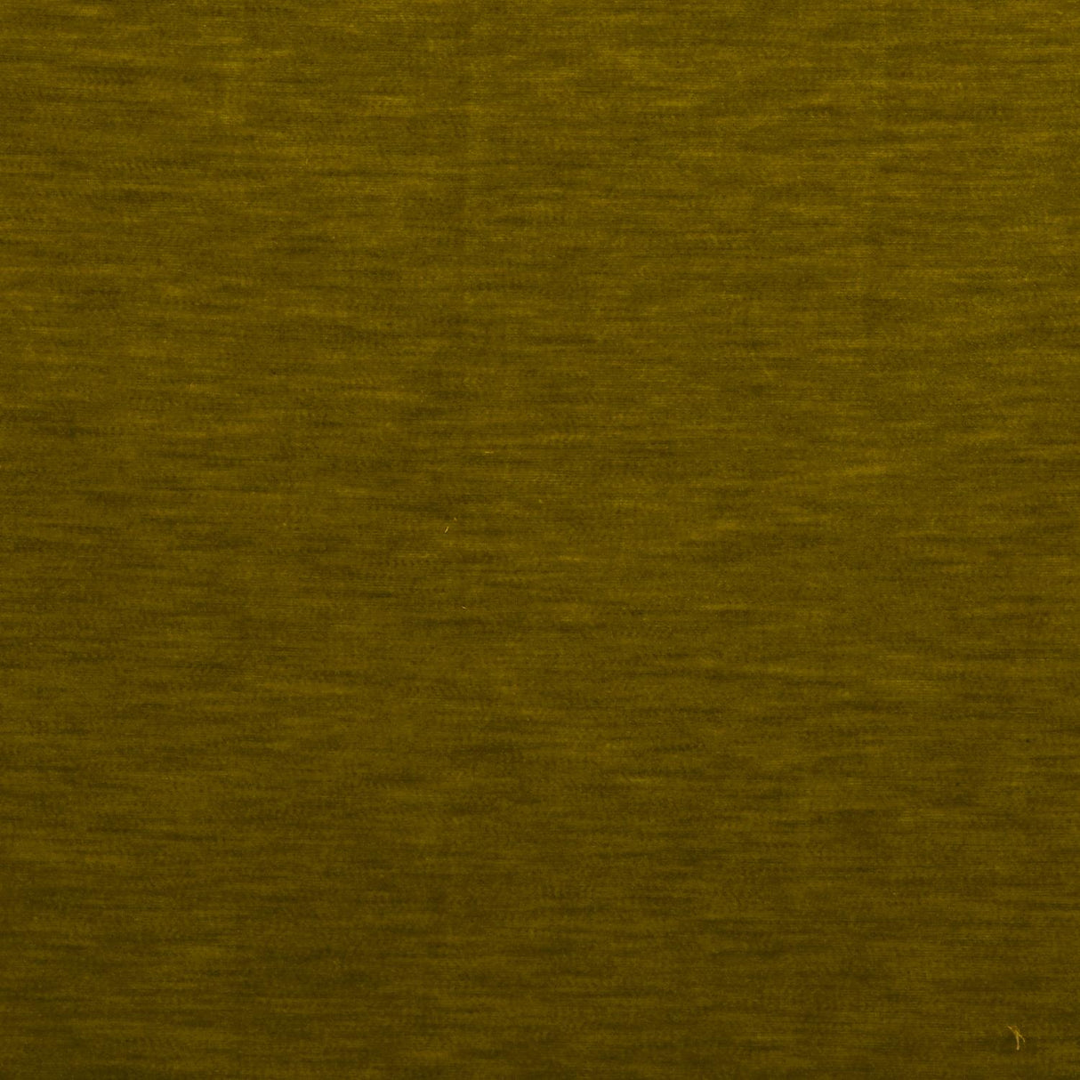 Gaston Y Daniela MERES ACEITE Upholstery Fabric