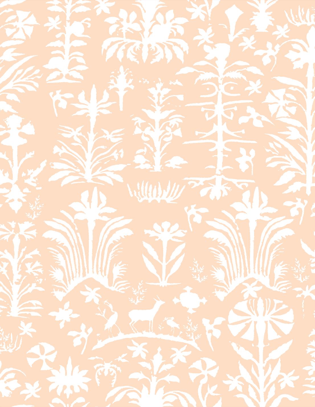 Gaston Y Daniela SALINAS WP ROSA Wallpaper