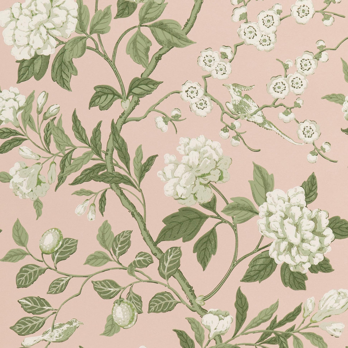 G P & J Baker EMPEROR'S GARDEN BLUSH Wallpaper