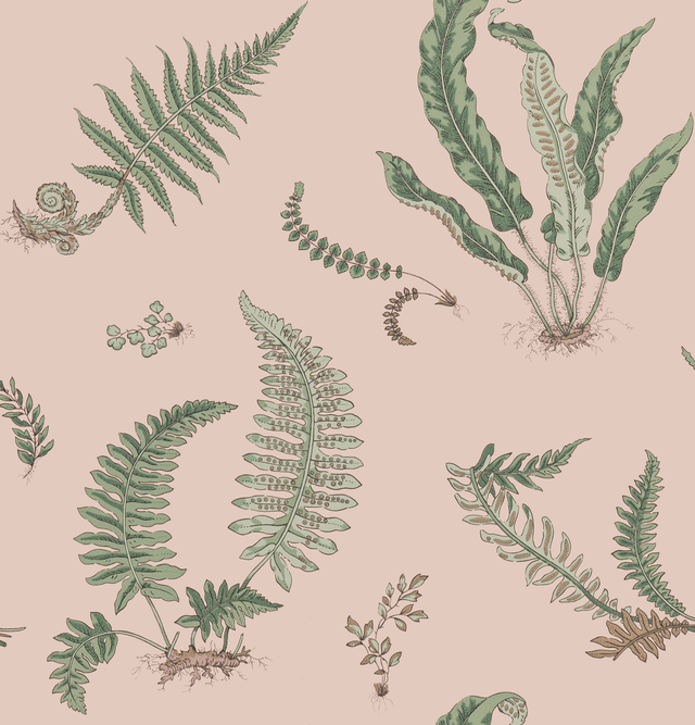 G P & J Baker FERNS BLUSH Wallpaper