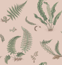 G P & J Baker FERNS BLUSH Wallpaper