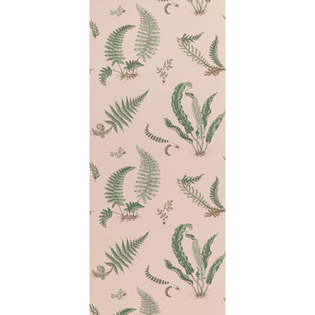 G P & J Baker FERNS BLUSH Wallpaper