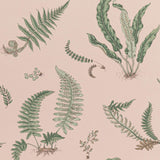 G P & J Baker FERNS BLUSH Wallpaper