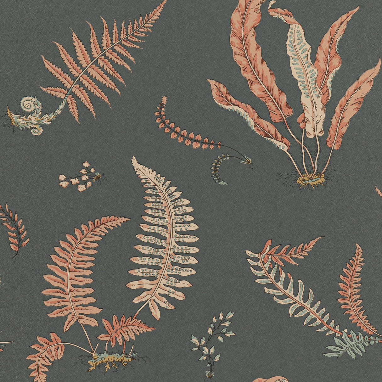 G P & J Baker FERNS CORAL/CHARCOAL Wallpaper