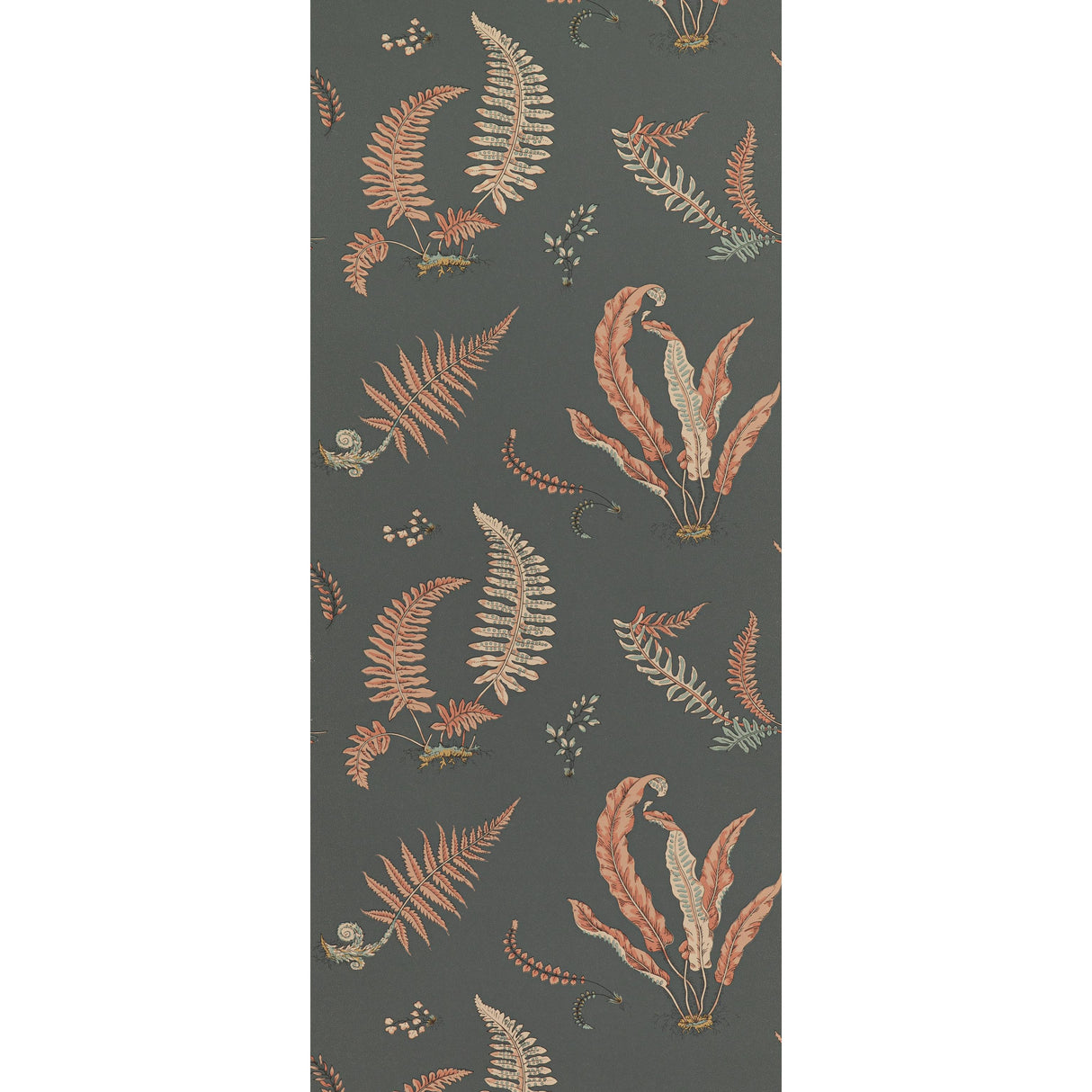 G P & J Baker FERNS CORAL/CHARCOAL Wallpaper