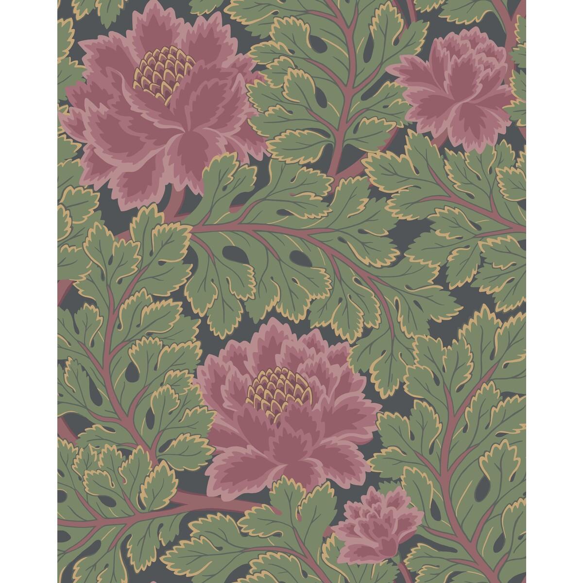 Cole & Son Aurora Rose/Forest/Char Wallpaper