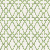 Cole & Son TREILLAGE LEAF GREEN/CHLK Wallpaper