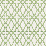 Cole & Son Treillage Leaf Green/Chlk Wallpaper