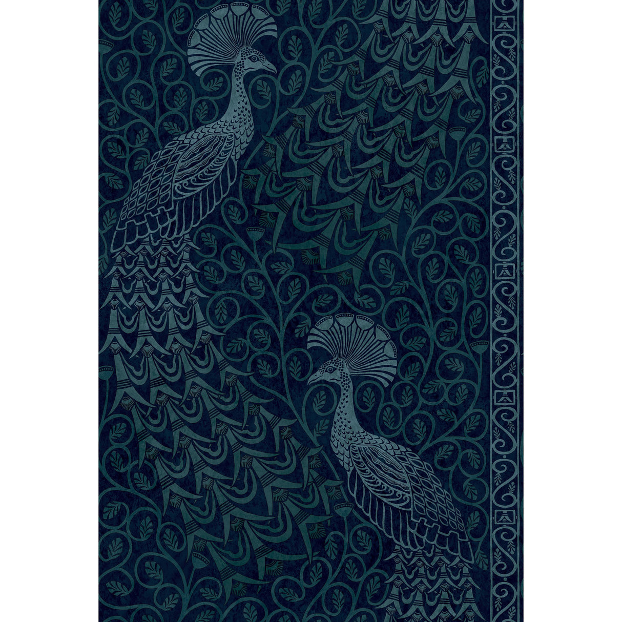 Cole & Son PAVO PARADE M PETROL/INK Wallpaper