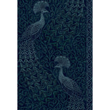Cole & Son PAVO PARADE M PETROL/INK Wallpaper