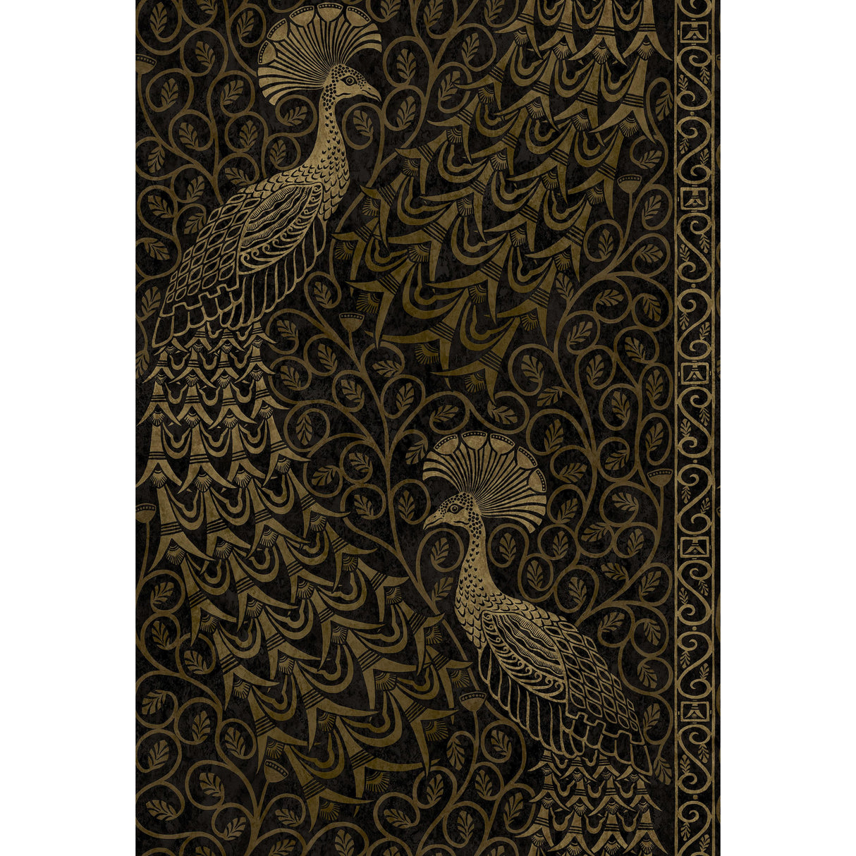 Cole & Son PAVO PARADE M GOLD/SOOT Wallpaper