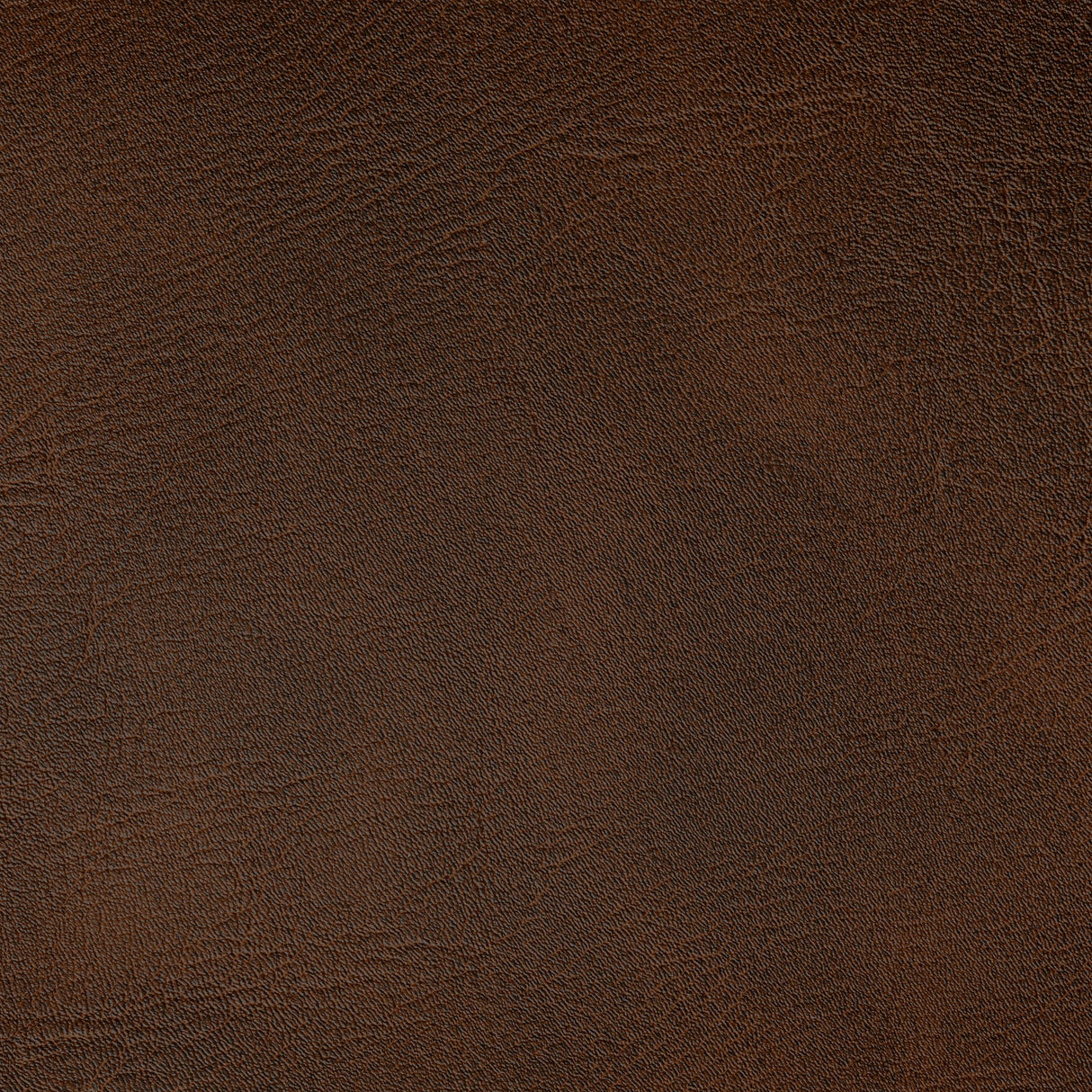 Kravet SPUR BRONCO Upholstery Fabric
