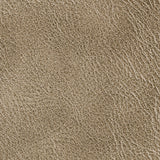 Kravet SPUR COCOA Upholstery Fabric